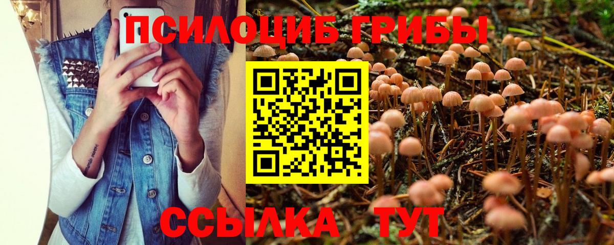 Галлюциногенные грибы прущие грибы  Вход с VPN  Галлюциногенные грибы Psilocybe  Азов 